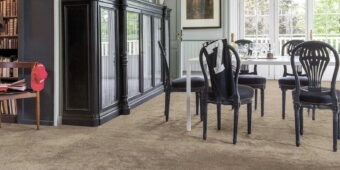 Magnificus Macaroon 37 carpet by Invictus