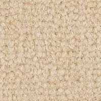 Westend Velvet Collection Magnolia carpet by Westex
