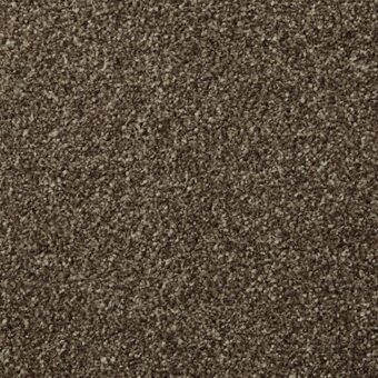 Apollo Plus Mahogany carpet by Cormar Carpets