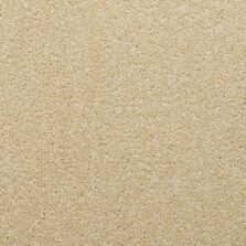 Solar Maize carpet by Brockway Carpets