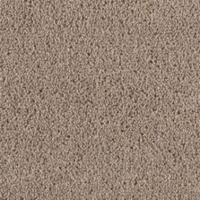 Super Maxim Malt carpet by Penthouse Carpets