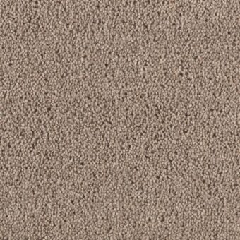 Super Maxim Malt carpet by Penthouse Carpets