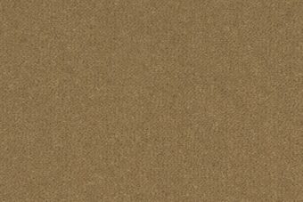 Ulster Velvet Mead carpet by Ulster Carpets
