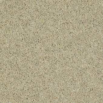 Woodland Heather Twist Meadow Light carpet by Cormar Carpets