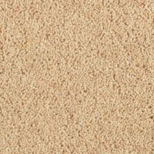 Super Maxim Meadowsweet carpet by Penthouse Carpets