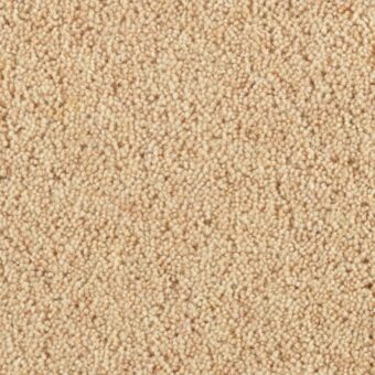 Super Maxim Meadowsweet carpet by Penthouse Carpets