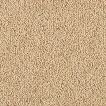 Vermont Memphis carpet by Penthouse Carpets