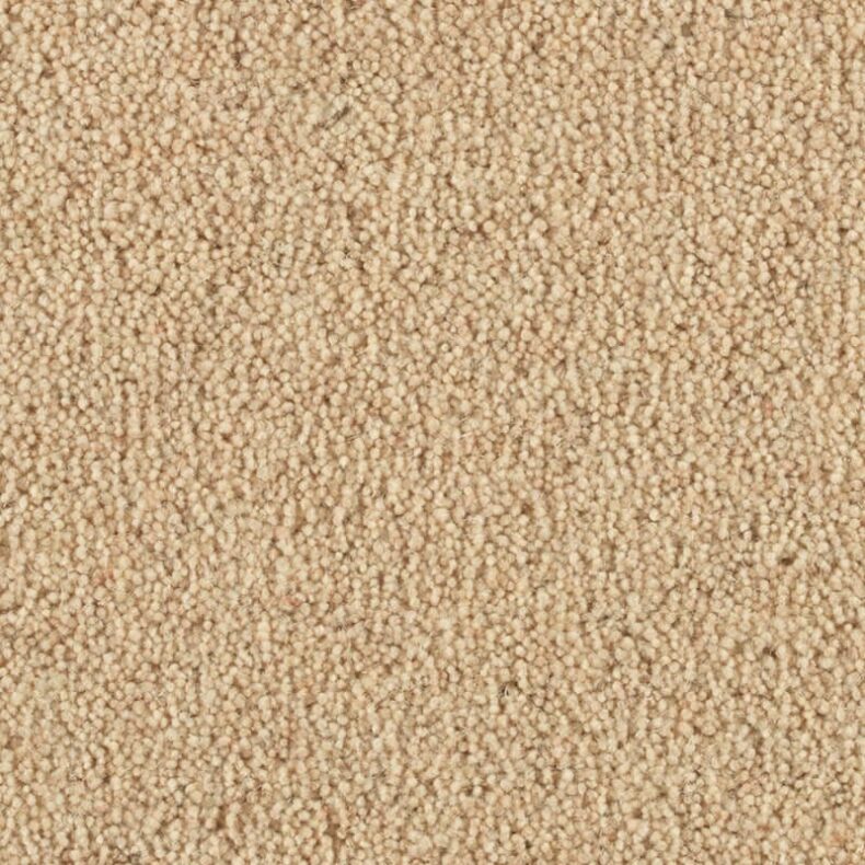 Vermont Memphis carpet by Penthouse Carpets