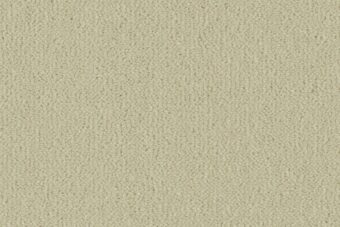 Ulster Velvet Merino carpet by Ulster Carpets