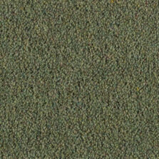 Vermont Miami carpet by Penthouse Carpets