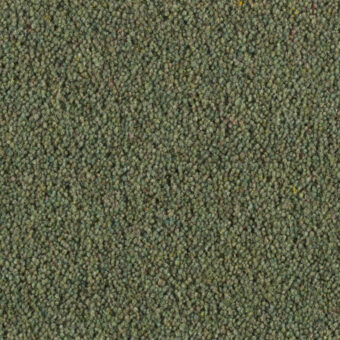 Vermont Miami carpet by Penthouse Carpets