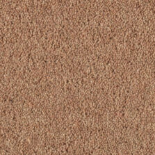 Vermont Midway carpet by Penthouse Carpets