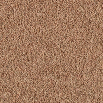 Vermont Midway carpet by Penthouse Carpets