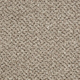 Primo Tweeds Moccasin carpet by Cormar Carpets