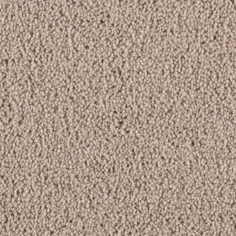 Pentwist Moleskin carpet by Penthouse Carpets