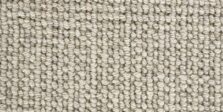 Wool Enchanted Morning Mist WE102 carpet by Crucial Trading