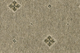 Tazmin Motif Buckram carpet by Ulster Carpets