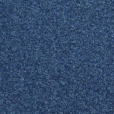 Solar Muscari carpet by Brockway Carpets