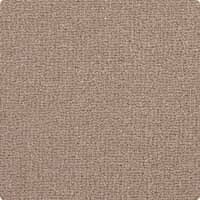 Pure Luxury Collection Mushroom carpet by Westex
