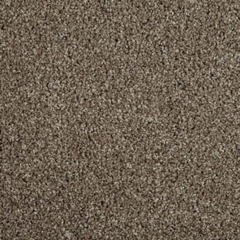Primo Choice Mustang carpet by Cormar Carpets