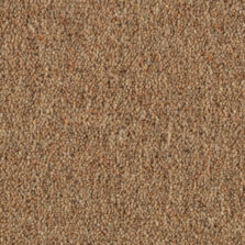 Vermont Naples carpet by Penthouse Carpets