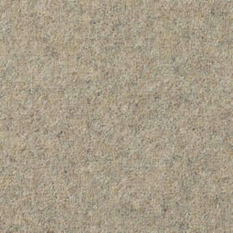 Dimensions Heathers Natural Heather carpet by Brockway Carpets