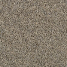 Shoreline Nautilus carpet by Penthouse Carpets