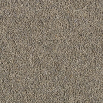 Shoreline Nautilus carpet by Penthouse Carpets