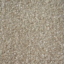 First Impressions Neat n Tidy carpet by Victoria Carpets