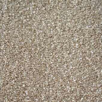 First Impressions Neat n Tidy carpet by Victoria Carpets