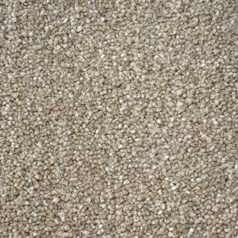 First Impressions Neat n Tidy carpet by Victoria Carpets