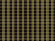 Designer Collection New Gingham Driftwood carpet by Hugh Mackay