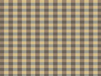 Designer Collection New Gingham Silver carpet by Hugh Mackay