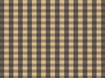 Designer Collection New Gingham Stone carpet by Hugh Mackay