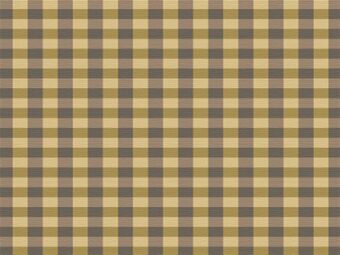Designer Collection New Gingham Straw carpet by Hugh Mackay