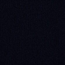 Ultima Twist Collection Nightfall carpet by Westex