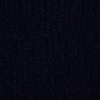 Ultima Twist Collection Nightfall carpet by Westex