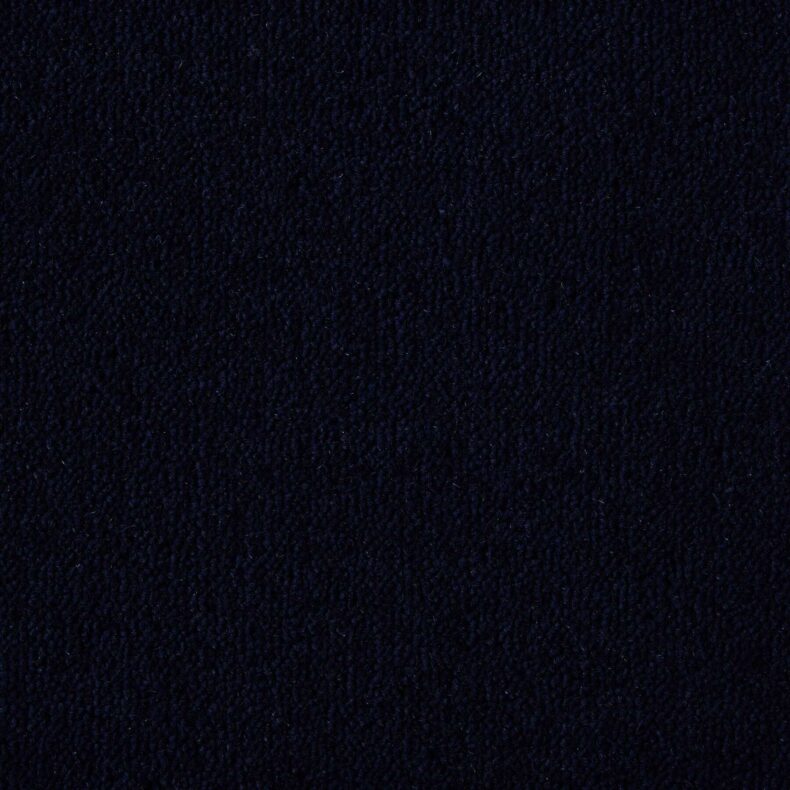 Ultima Twist Collection Nightfall carpet by Westex