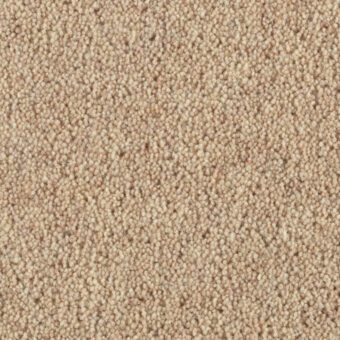 Vermont Oakland carpet by Penthouse Carpets