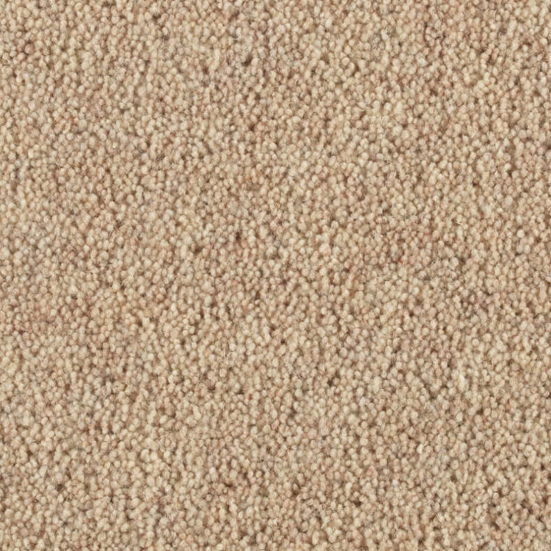 Vermont Oakland carpet by Penthouse Carpets