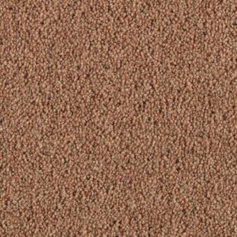 Pentwist Oakwood carpet by Penthouse Carpets