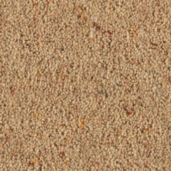 Carlton Oatmeal carpet by Penthouse Carpets