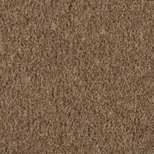 Vermont Ohio carpet by Penthouse Carpets
