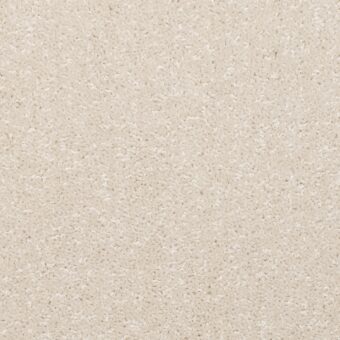 Dimensions Plain Old White carpet by Brockway Carpets