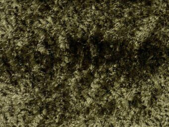 Campeone Collection Singapore Olive carpet by ITC