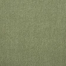 Silken Velvet Collection Olivine carpet by Westex