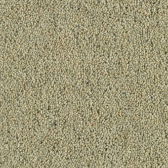 Pentwist Orchard carpet by Penthouse Carpets