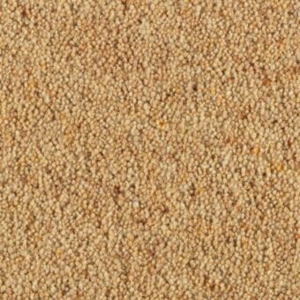 Carlton Organza carpet by Penthouse Carpets