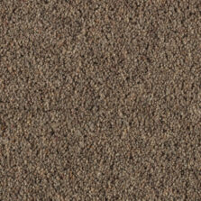 Vermont Orlando carpet by Penthouse Carpets