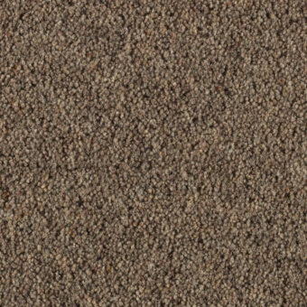 Vermont Orlando carpet by Penthouse Carpets